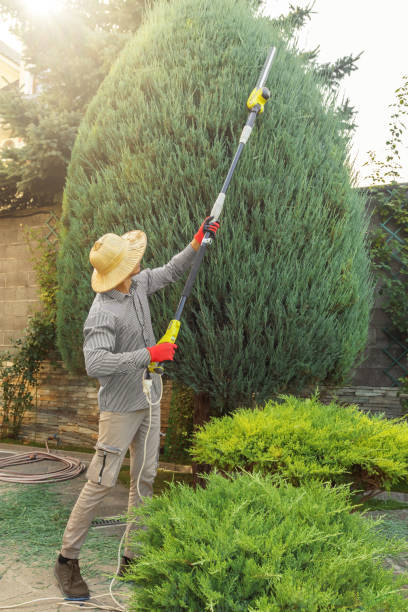 Best Lawn Irrigation Installation and Maintenance  in White Rock, NM